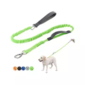 YT Dog Explosion Proof Impact Leash