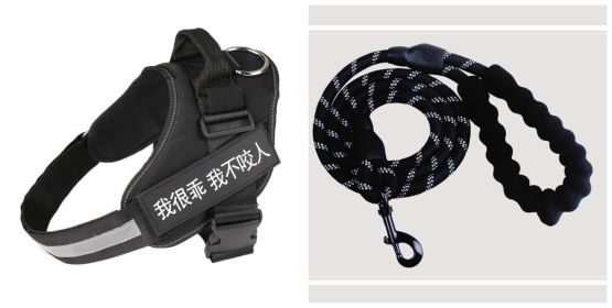 Fashion Simple Dog Leash Chest Strap Set