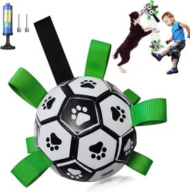 Dog Football Interactive Toy Dog Ball