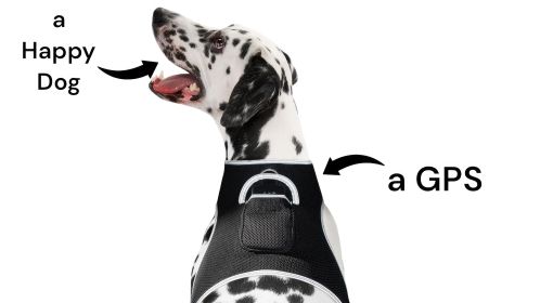 NEW Mini Real Time Pet Tracker GPS Dog Collar Text Waterproof Tracking Size:L