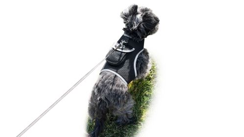 NEW Motion Detect Mini Dog Tracking Device Waterproof Pet Locator Size:L