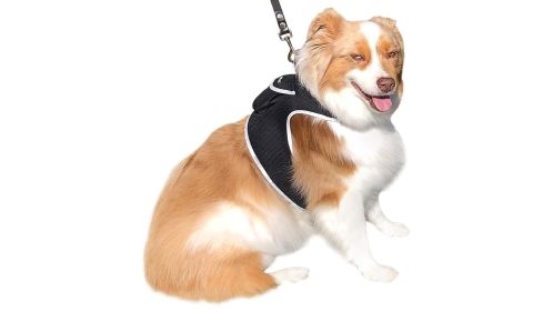 NEW Rechargeable GSM GPRS GPS Pet Tracking Dog Waterproof Tracker Size:L