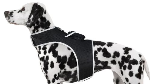 NEW Mini GPS GSM Pet Tracker Locator Alarm Dog Protection Security Size:L