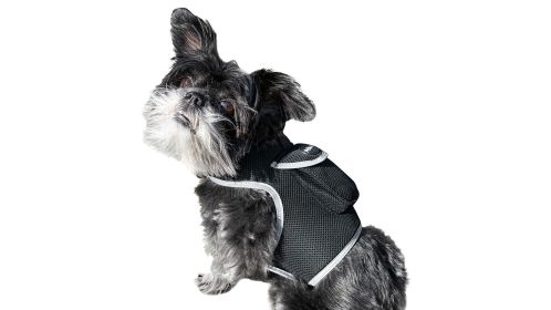 NEW Portable Pet Tracking GPS Realtime Locator GSM GPRS Dog Finder Size:L
