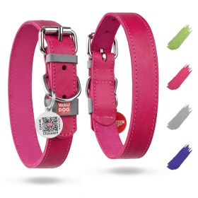 Long Lasting Leather Dog Collar