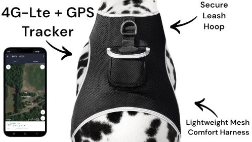 NEW Waterproof Portable Dog Collar Tracking Device GSM GPS Pet Finder Size:M