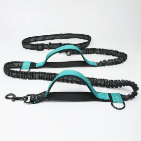 Hands Free Dog Leash for Medium and Large Dogs - Durable Dual Handle Waist Leash with Reflective Bungee for Running; Walking; Training; Hiking (Colour: Aqua Green - 4211, Specification (L * W): 2.5*160cm)