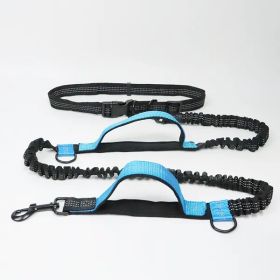 Hands Free Dog Leash for Medium and Large Dogs - Durable Dual Handle Waist Leash with Reflective Bungee for Running; Walking; Training; Hiking (Colour: Blue - 4211, Specification (L * W): 2.5*160cm)