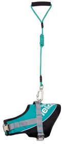 Helios Bark-Mudder Easy Tension 3M Reflective Endurance 2-in-1 Adjustable Dog Leash and Harness (Size: Small)