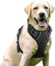 Dog Harness; No-Pull Harness with 2 Leash Clips (Color: Classic Black, Size: Medium)