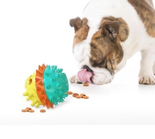 Pet Chew Toy Interactive Treat Toy (Color: Green)
