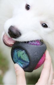 Pet Rubber Bouncing Toy Dog Chew Toy (Design: Round)