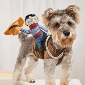 Cowboy Rider Pet Costume (Color: Mixed Color, Size: M)
