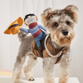 Cowboy Rider Pet Costume (Color: Mixed Color, Size: S)
