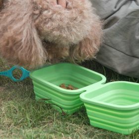 Silicone Collapsible Pet Bowl / Travel Bowl Equipped with Aluminum Hook Clip (Color: Green)