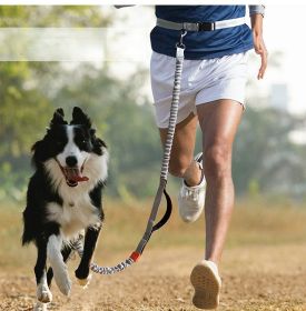 Hands Free Dog Leash for Medium and Large Dogs - Durable Dual Handle Waist Leash with Reflective Bungee for Running; Walking; Training; Hiking (Colour: Blue - 4211, Specification (L * W): 2.5*160cm)