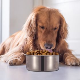 Stainless Steel Dog Bowl (Size: L)