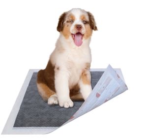 55 Grams Ultra Absorbent Charcoal Odor Eliminating Dog Training Pads (Size: 50 PCS)