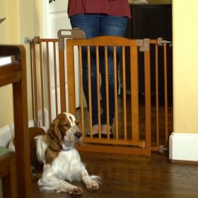 One Wood Gate Extension (Option: Touch Gate II in Brown)